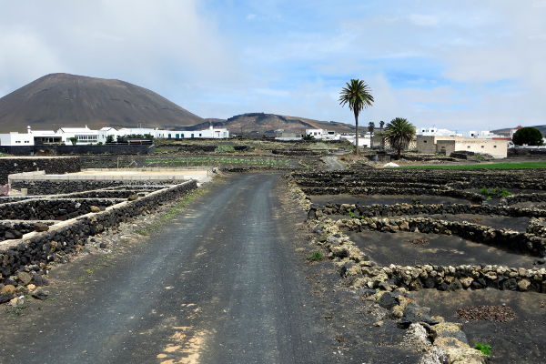 Landwirtschaft bei El Islote (Lanzarote) - © RoRadln - Kurt Schmidt