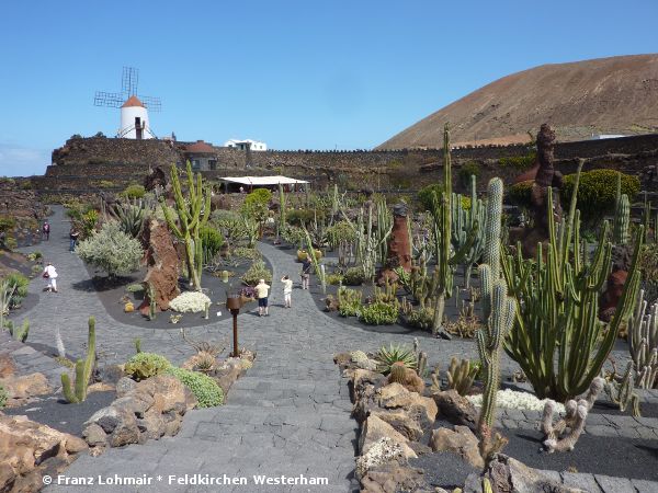 Jardin de Cactus - Guatiza - © RoRadln - Franz Lohmair