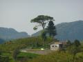 Landschaft bei Rolle - © RoRadln - Franz Lohmair Landschaft bei Rolle - © RoRadln - Franz Lohmair