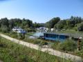 Donau-Altarm bei Ardagger Markt