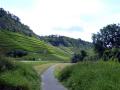 Weinberge zwischen Lengfurt und Homburg - © RoRadln - Kurt Schmidt Weinberge zwischen Lengfurt und Homburg - © RoRadln - Kurt Schmidt