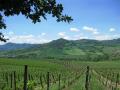 Oltrepo Pavese - Monte Santa Maria - © RoRadln - Kurt Schmidt