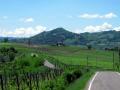 Oltrepo Pavese - Monte Santa Maria - © RoRadln - Kurt Schmidt