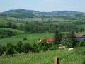 Oltrepo Pavese - Blick auf Montalbo - © RoRadln - Kurt Schmidt