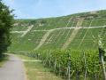 Neckar