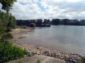 Am Rhein bei Gimbsheim