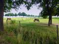 An der Rur bei J&uuml;lich