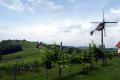 Puklavec - Blick von in die Weinberge - © RoRadln - Kurt Schmidt Puklavec - Blick von in die Weinberge - © RoRadln - Kurt Schmidt