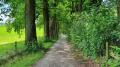 Allee am Egglburger See - © RoRadln - Kurt Schmidt