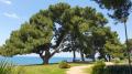 Porec - am Strand - © RoRadln - Kurt Schmidt Porec - am Strand - © RoRadln - Kurt Schmidt
