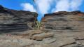 Las Grietas - Verwitterte Lavagesteine - © RoRadln - Kurt Schmidt Las Grietas - Verwitterte Lavagesteine - © RoRadln - Kurt Schmidt