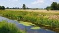 An der Ems nahe Rietberg - © RoRadln - Kurt Schmidt An der Ems nahe Rietberg - © RoRadln - Kurt Schmidt