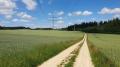 Weites Land bei Pfaffenhofen (Altom&uuml;nster)