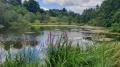 Ebersberger Weiherkette - Kleiner Weiher - © RoRadln - Kurt Schmidt