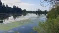 Bachtelsee - Vogelparadies in der aufgestauten Wertach - © RoRadln - Kurt Schmidt Bachtelsee - Vogelparadies in der aufgestauten Wertach - © RoRadln - Kurt Schmidt