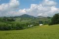 Blick auf Bertinoro