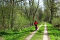 Isar-Radweg bei Moosburg - © RoRadln - Kurt Schmidt