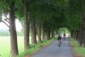 Allee bei Strass im Zillertal - © RoRadln - Kurt Schmidt