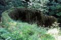 Wachsender Fels von Usterling - Geotope in Bayern