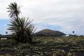 Weinanbau auf Lanzarote - La Geria