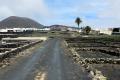 Landwirtschaft bei El Islote (Lanzarote) - © RoRadln - Kurt Schmidt Landwirtschaft bei El Islote (Lanzarote) - © RoRadln - Kurt Schmidt