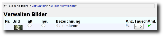 Bild-Verwaltung - Übersicht aller Bilder Bild-Verwaltung - Übersicht aller Bilder
